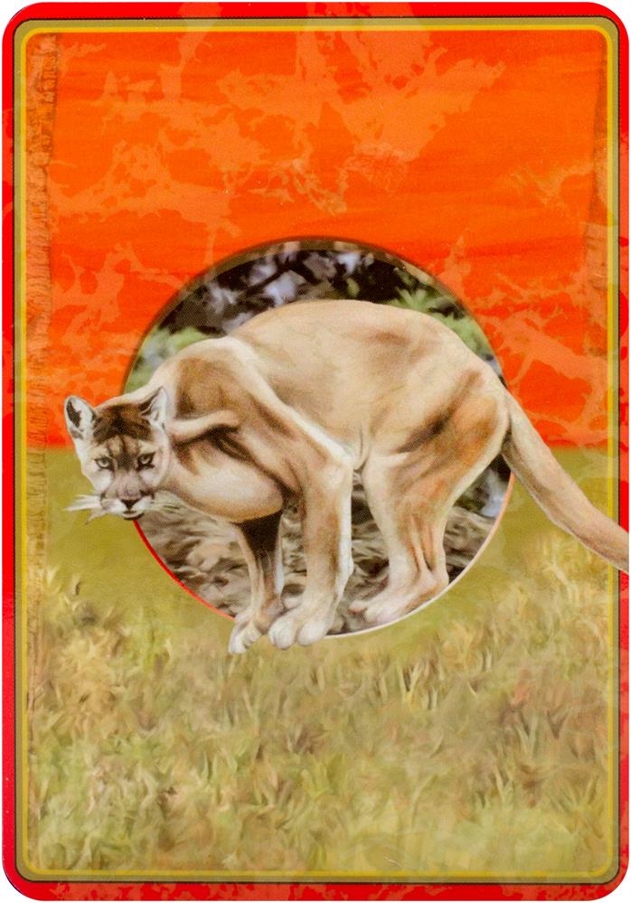 Power animal oracle cards