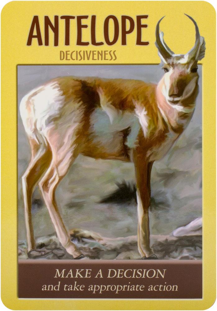 Power animal oracle cards