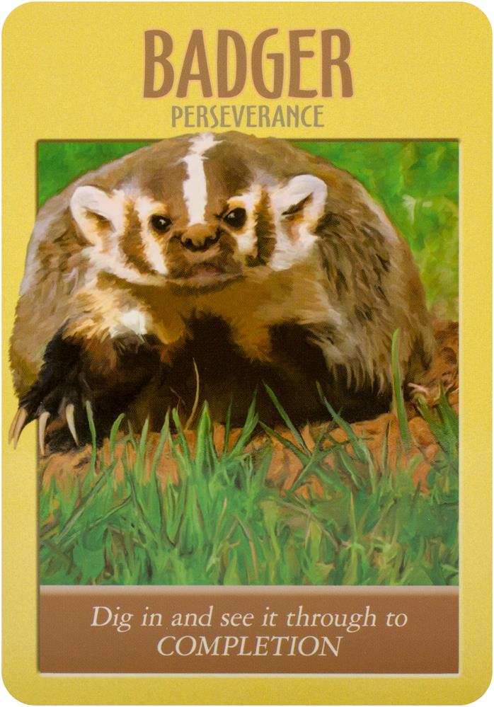 Power animal oracle cards