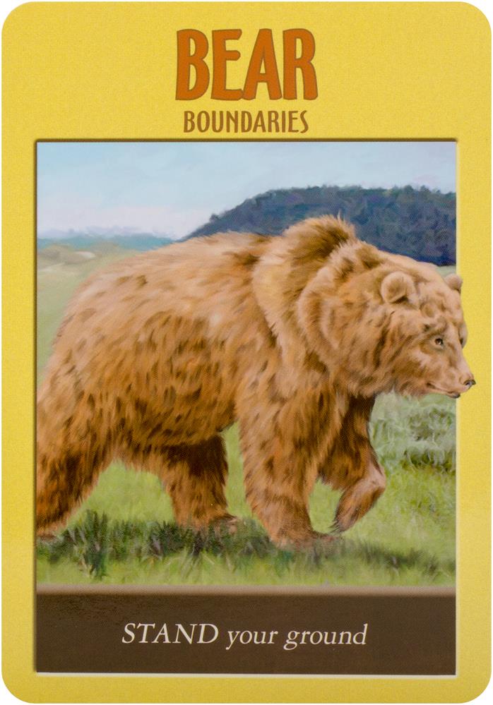 Power animal oracle cards