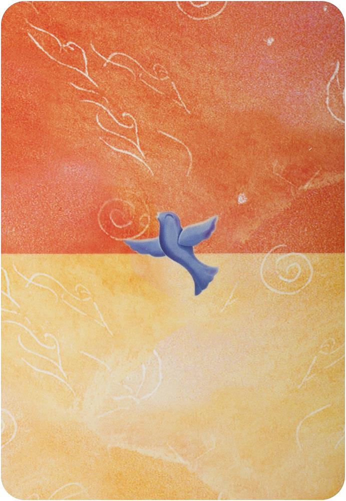Soul Coaching Oracle Cards: What Your Soul Wants You to Know