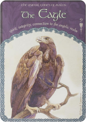 Wisdom of avalon oracle cards