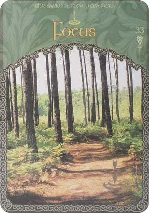 Wisdom of avalon oracle cards