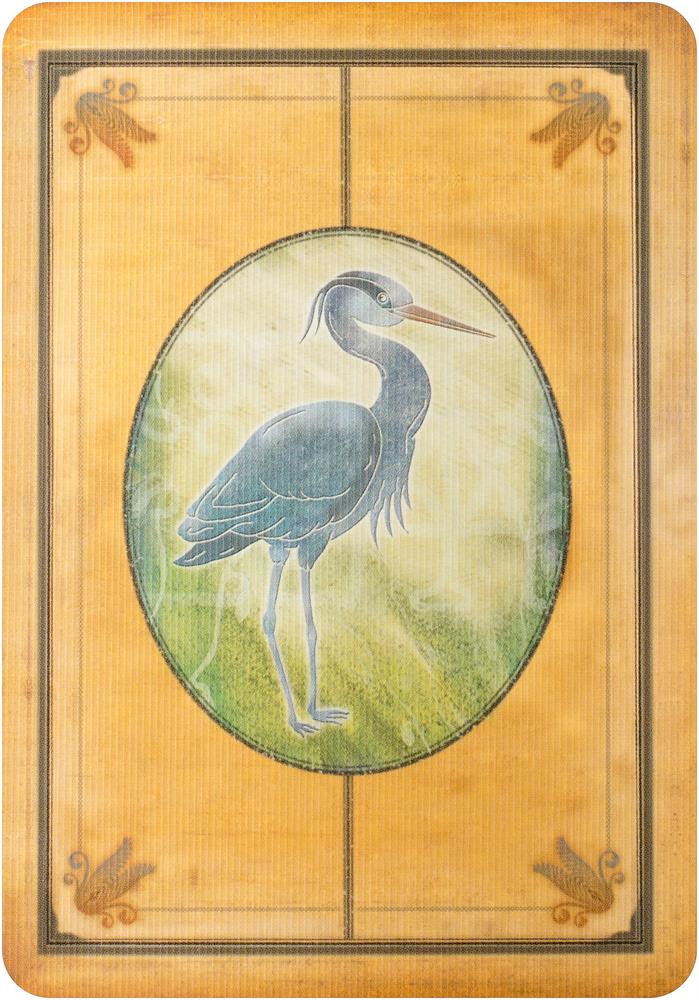 Messages from your animal spirit guides cards