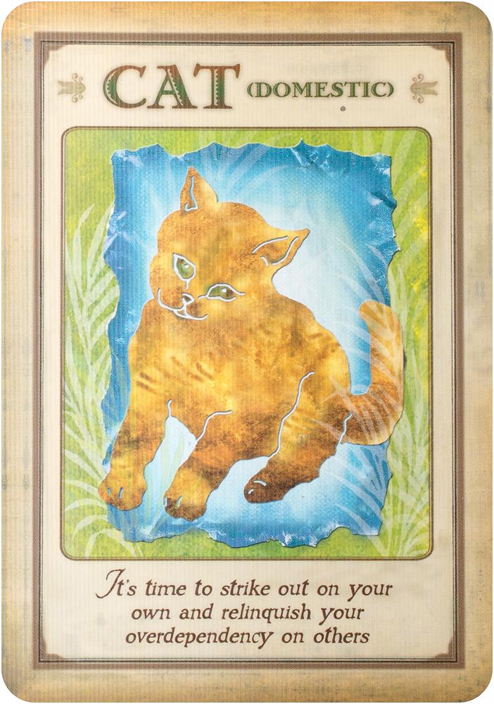Messages from your animal spirit guides cards