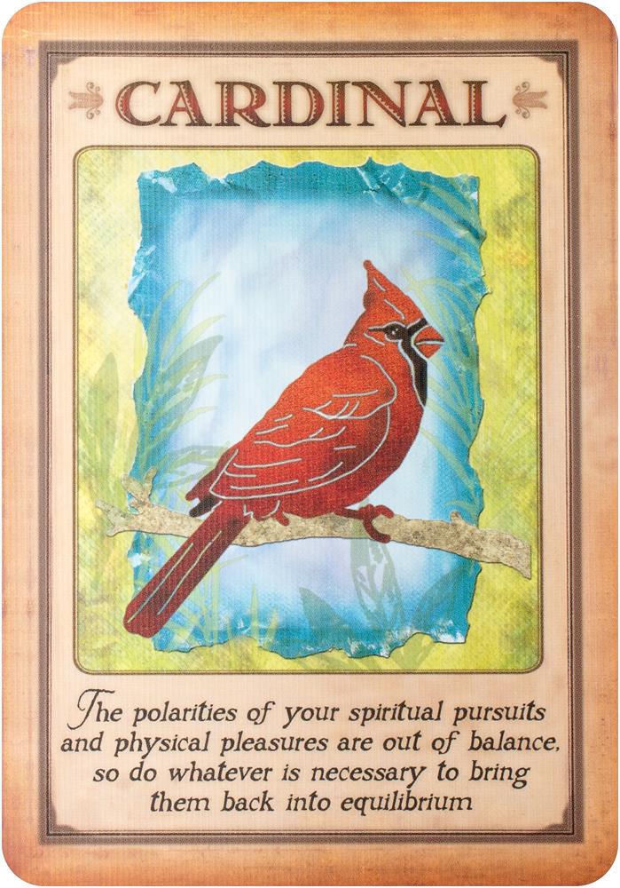 Messages from your animal spirit guides cards