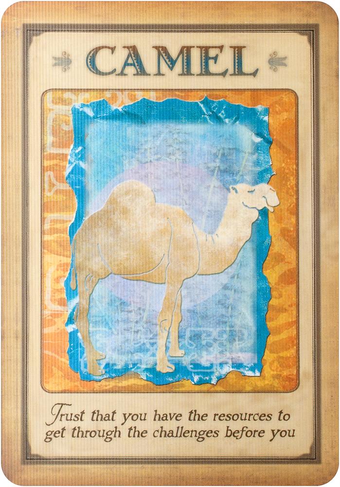 Messages from your animal spirit guides cards