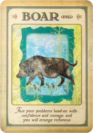 Messages from your animal spirit guides cards