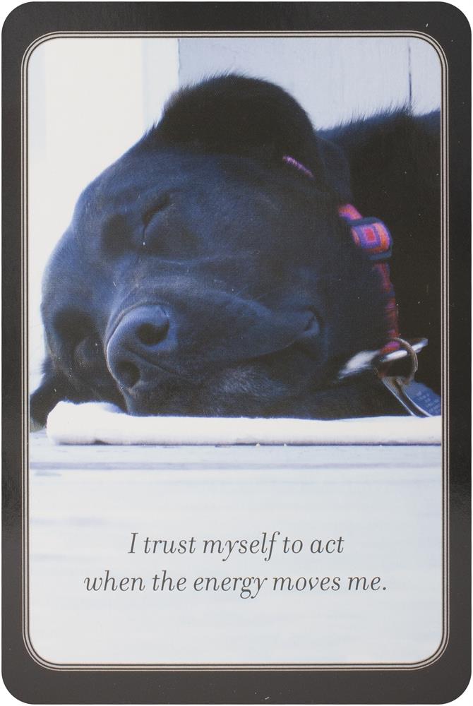 My daily affirmation cards