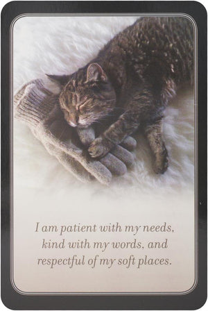 My daily affirmation cards