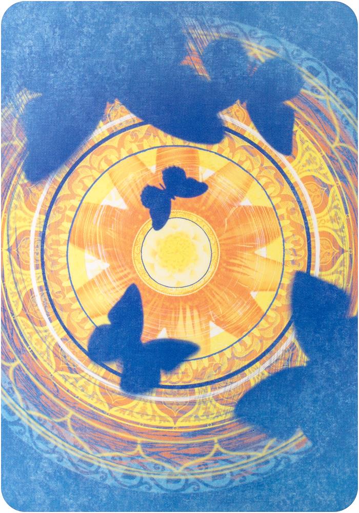 Spirit messages daily guidance oracle deck - a 50-card deck and guidebook