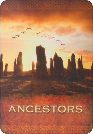 Native Spirit Oracle Cards