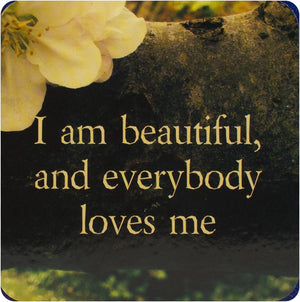 Life Loves You Cards