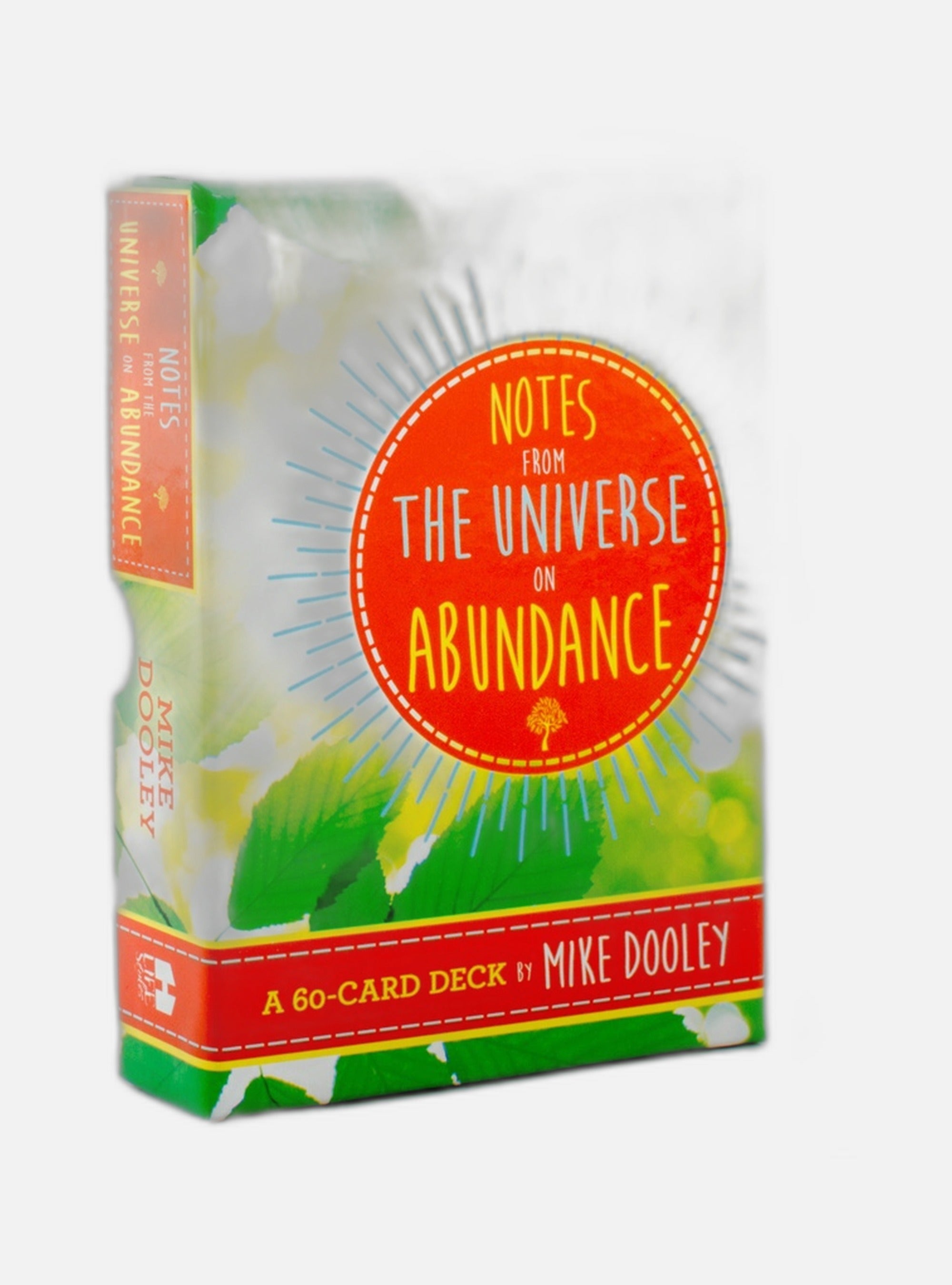 Notes from the Universe on Abundance