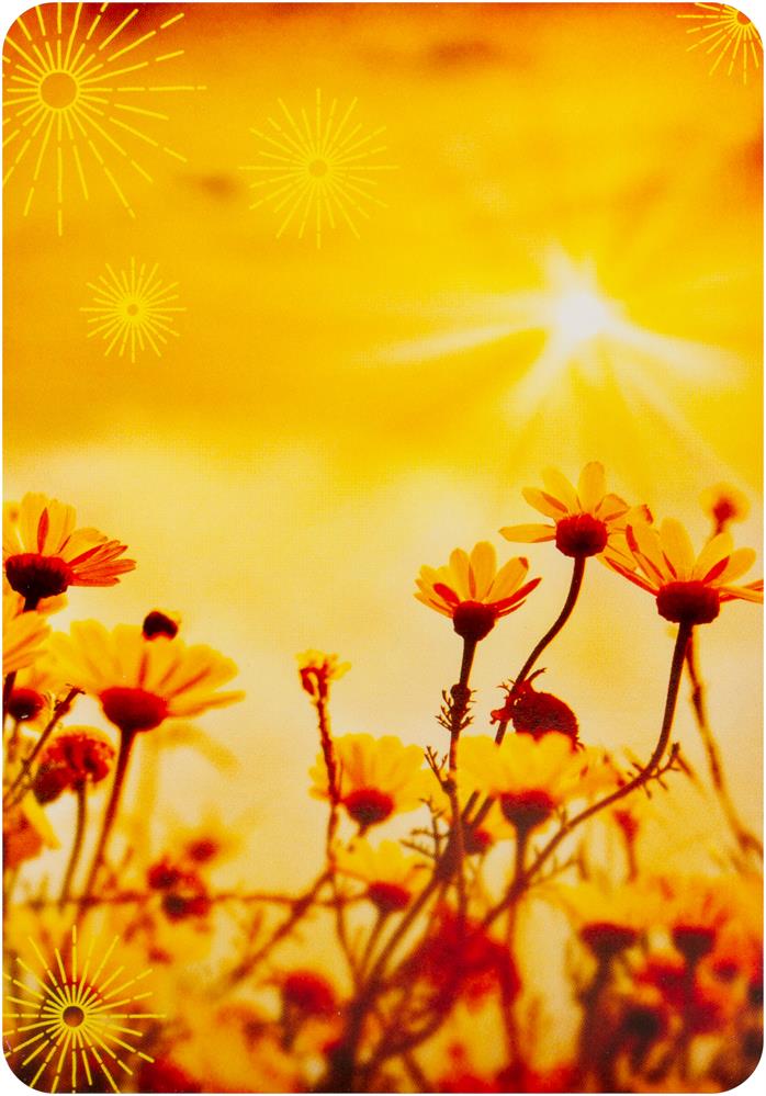 Notes from the Universe on Abundance