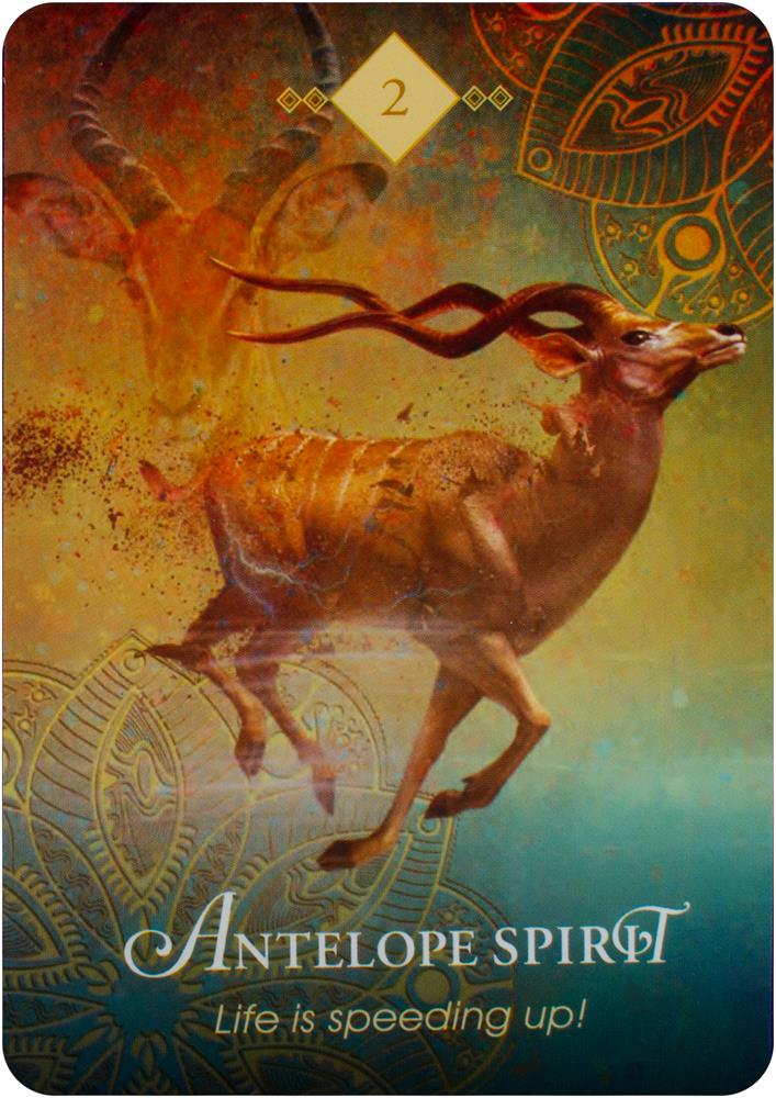 The Spirit Animal Oracle
