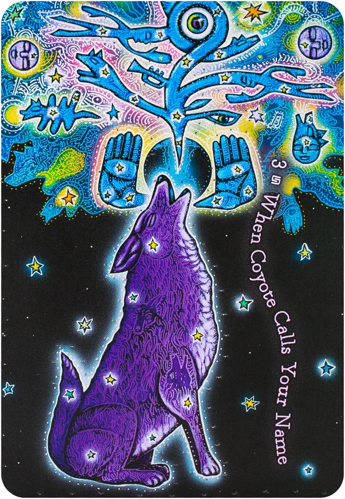 Dream Weaver's Oracle