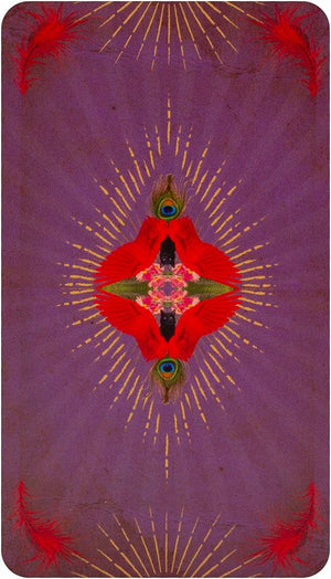 The Tarot of Curious Creatures