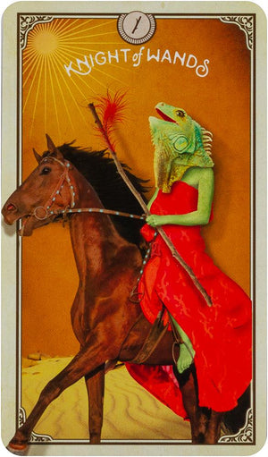 The Tarot of Curious Creatures