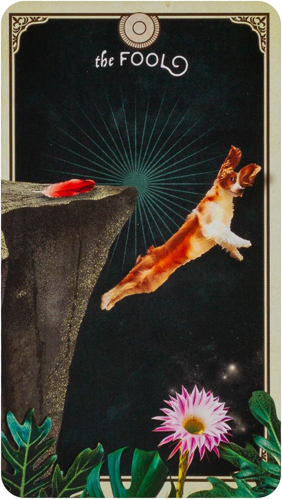 The Tarot of Curious Creatures