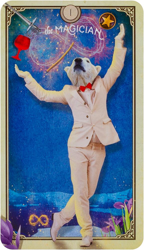 The Tarot of Curious Creatures