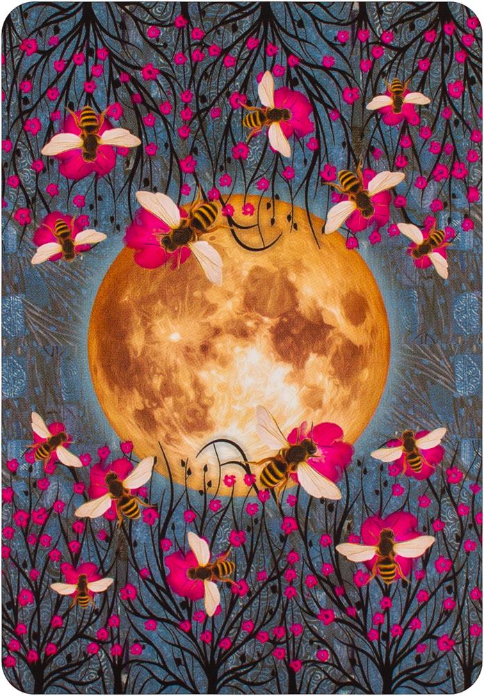 The Guardian of the Night Tarot
