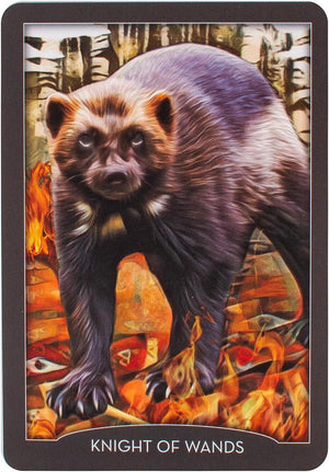 The Guardian of the Night Tarot