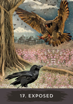 Urban Crow Oracle