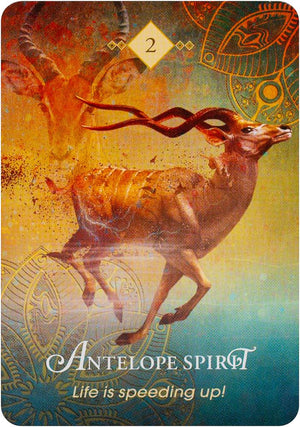 The Spirit Animal Pocket Oracle