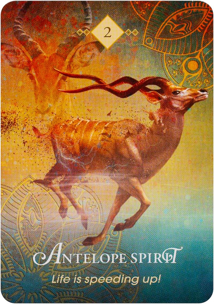 The Spirit Animal Pocket Oracle