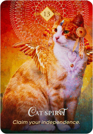 The Spirit Animal Pocket Oracle