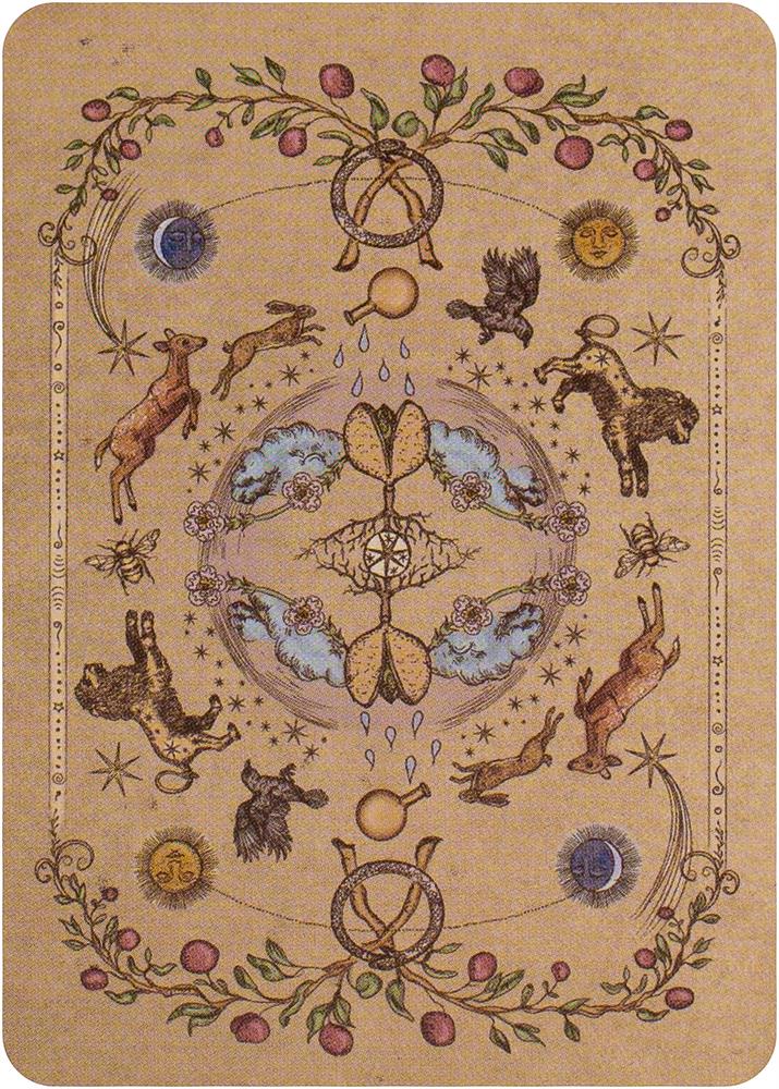 The Herbal Astrology Pocket Oracle