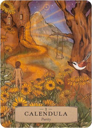 The Herbal Astrology Pocket Oracle
