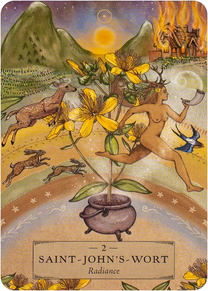 The Herbal Astrology Pocket Oracle