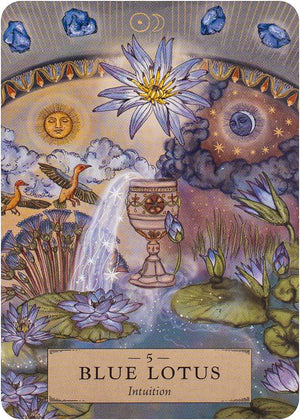 The Herbal Astrology Pocket Oracle