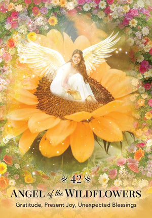 Angels of Nature Oracle: A 44-Card Deck and Guidebook