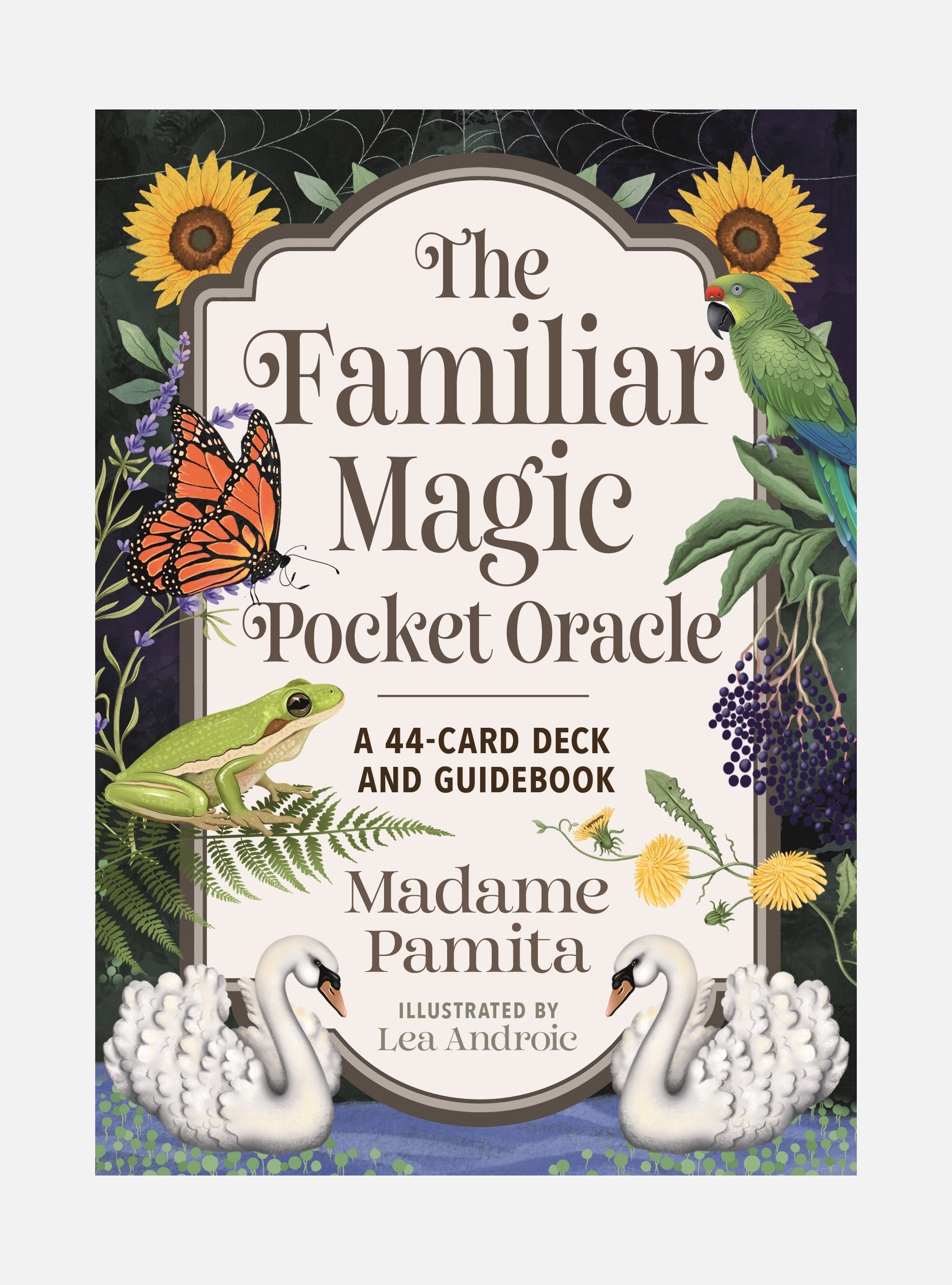 The Familiar Magic Pocket Oracle: A 44-Card Deck and Guidebook