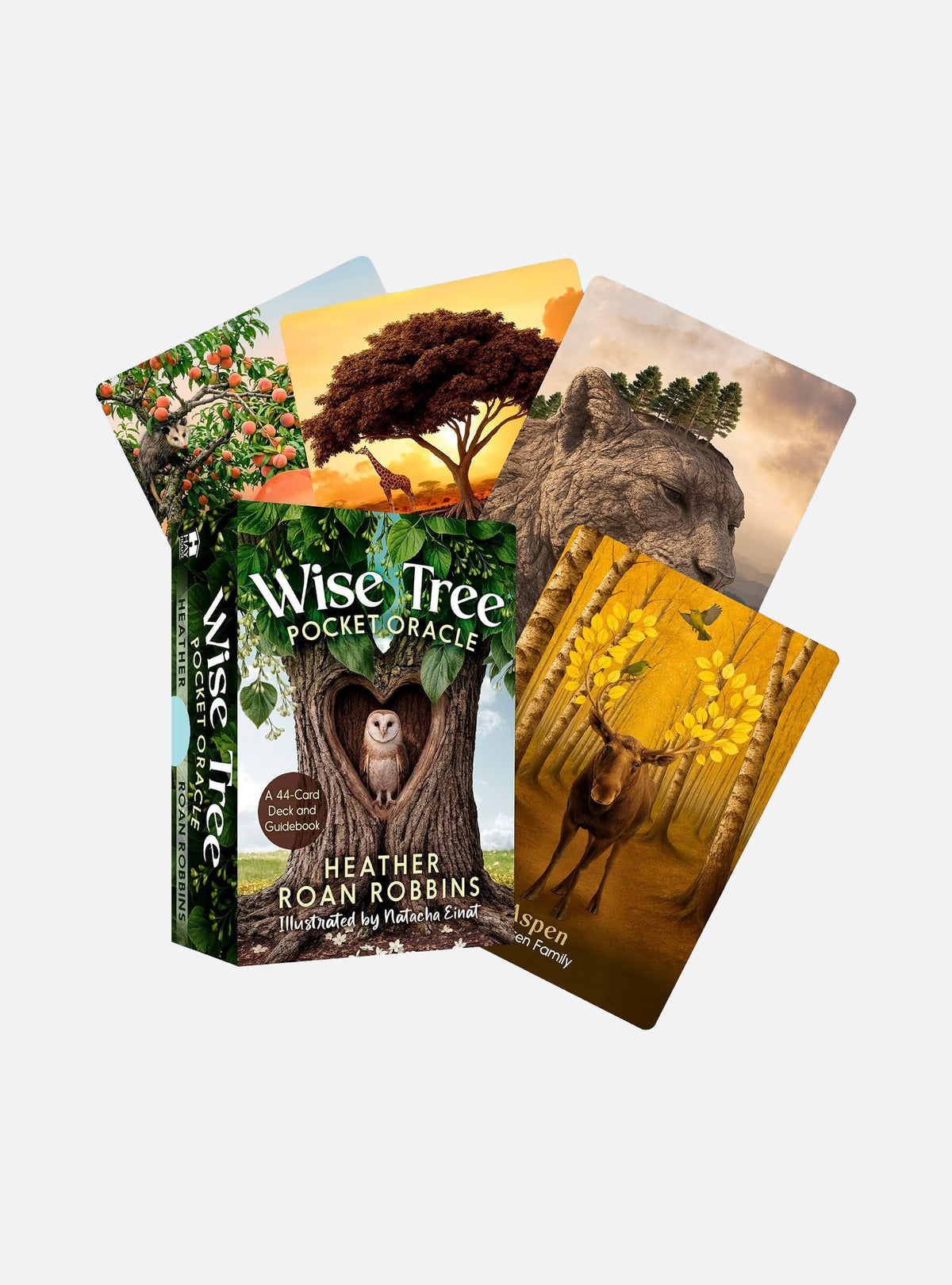 Wise Tree Pocket Oracle