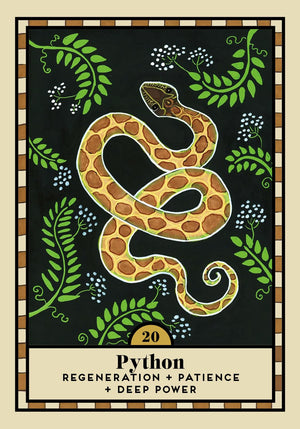 The Omen Oracle: A 44-Card Deck & Guidebook