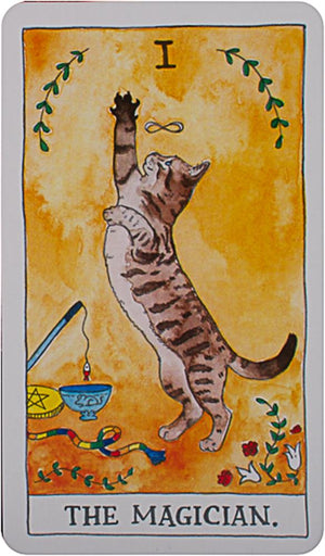 Cat Tarot