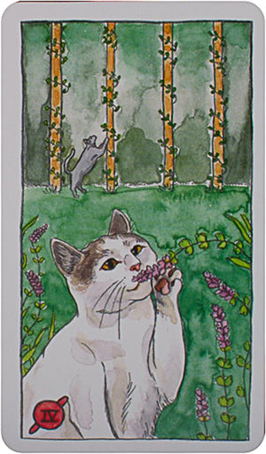 Cat Tarot