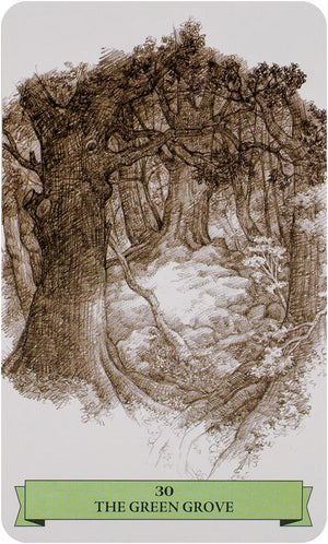 The Sherwood Oracle: Hidden Lore of the Wild Forest