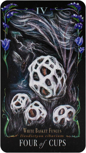 The Mushroom Tarot Deck