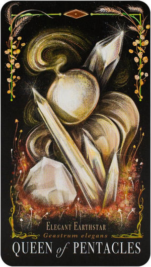 The Mushroom Tarot Deck