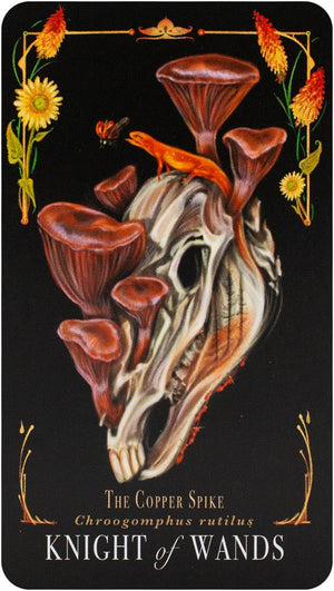 The Mushroom Tarot Deck
