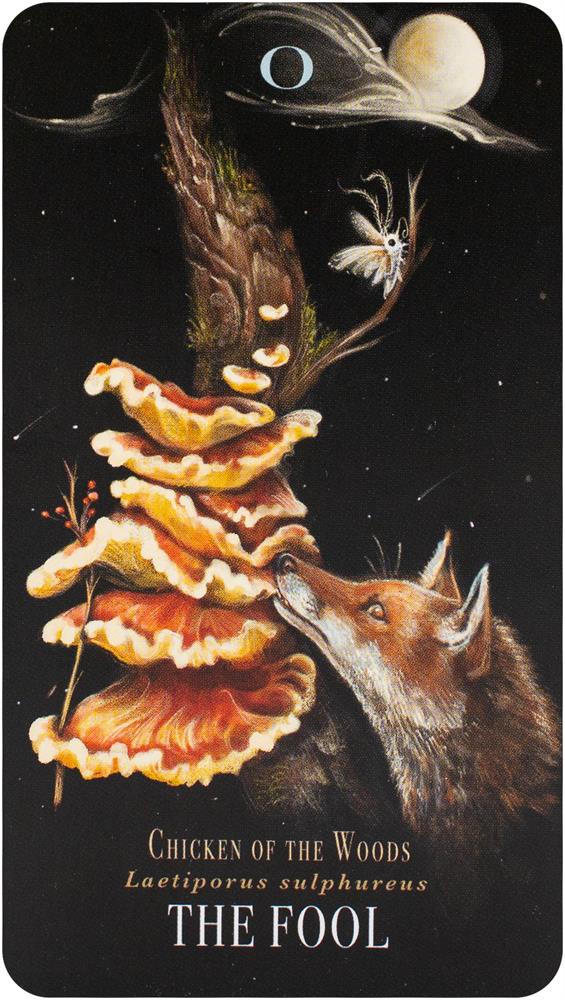 The Mushroom Tarot Deck