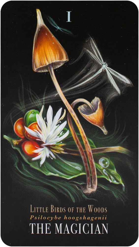 The Mushroom Tarot Deck