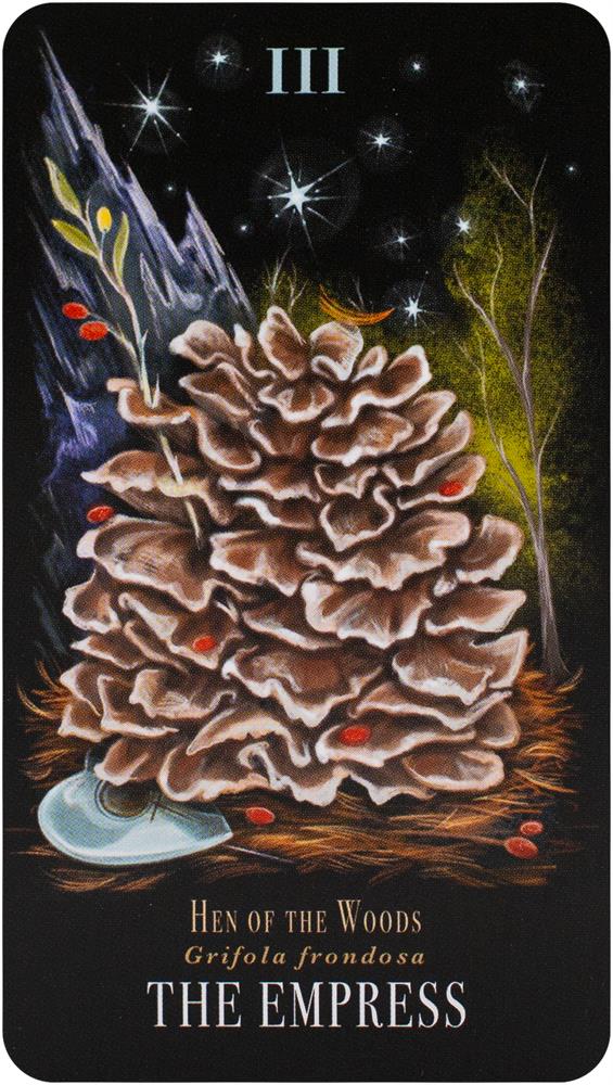 The Mushroom Tarot Deck