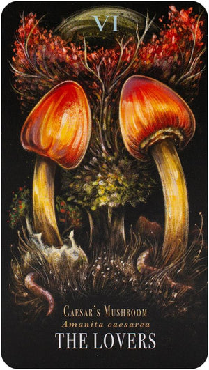 The Mushroom Tarot Deck