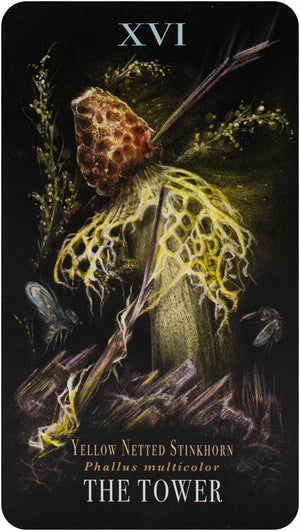 The Mushroom Tarot Deck